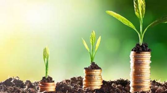 grow staff productivity with investment