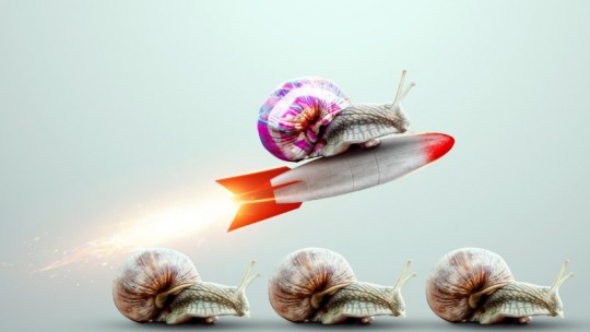 snails showing competitive advantage
